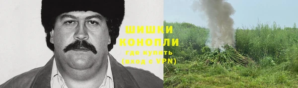 каннабис Майский
