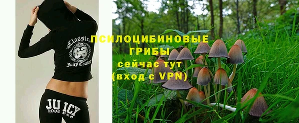 МДПВ Магадан