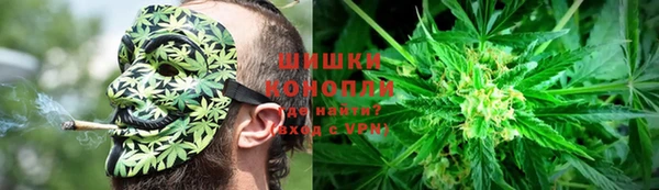каннабис Майский